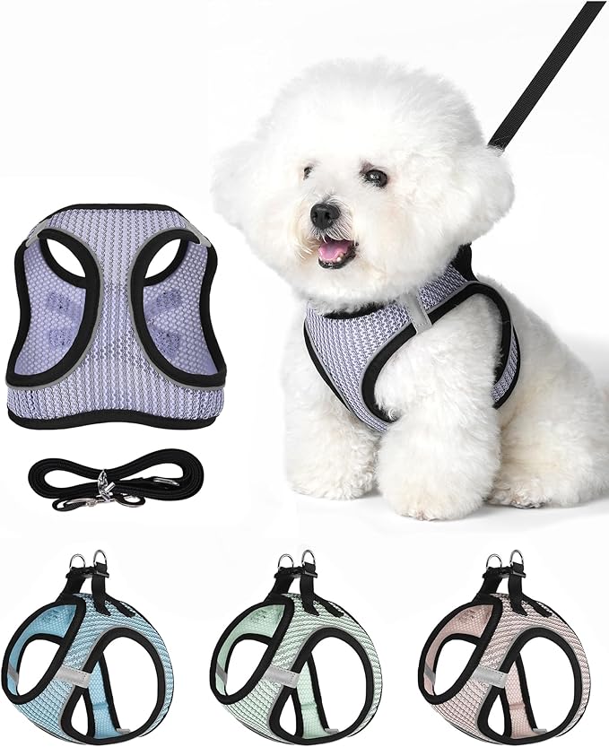 VernAlly Dog Harness Small Sized and Leash Set, Step in Soft Light Puppy Vest, Breathable Mesh Pet Harness Suitable for Pu...