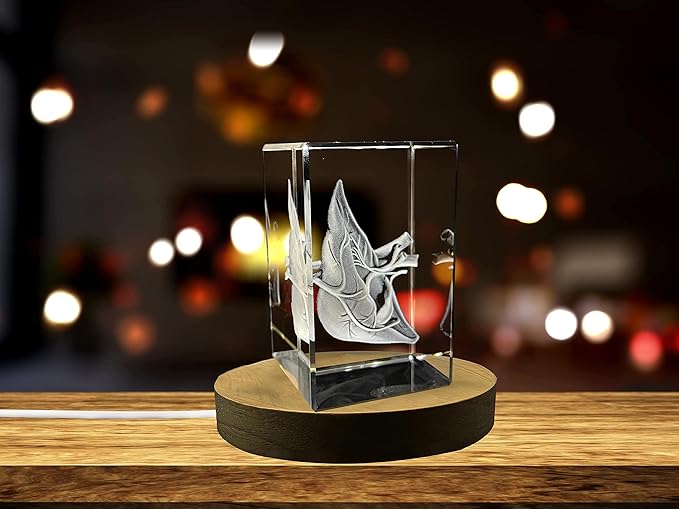 Doctors Gift 3D Engraved Crystal Keepsake/Gift/Decor/ (Small (3 x 2 x 2 in), Liver Art)