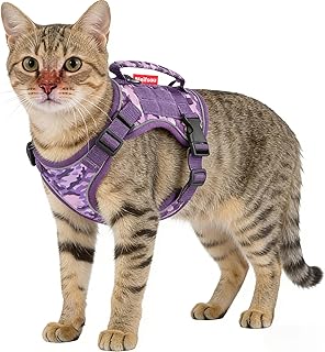 Meifsou Dog Harness and Leash Set, Small Sized No Pull Pet Harness with Control Handle, Adjustable Tactical Harness for Sm...