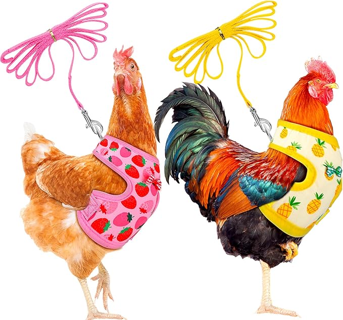 Frienda 2 Pcs Adjustable Chicken Harness and Leash Set Spring Summer Comfortable Elastic Hen Vest Breathable Harness for H...
