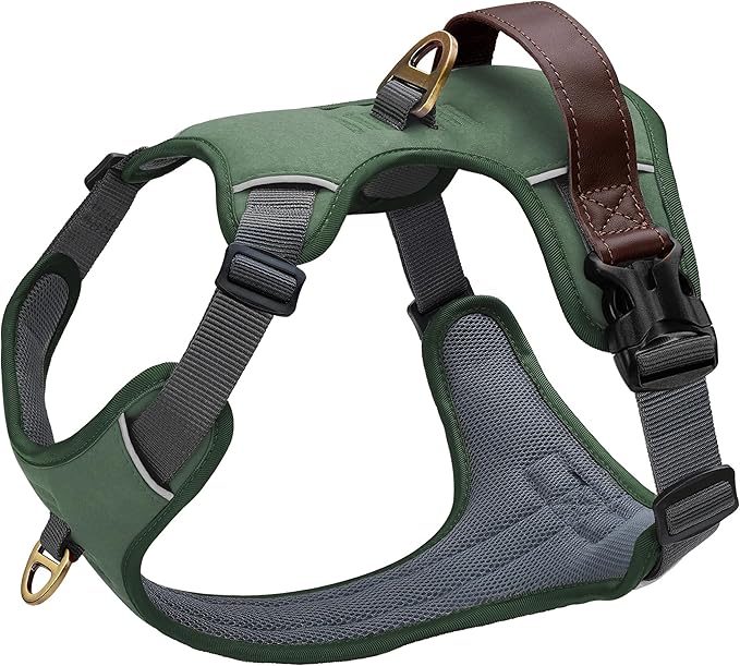 Didog No Pull Dog Harness Small Sized Dog,Classic PU Leather Vest for Small Dogs with Easy Control Handle,No Choke Front C...
