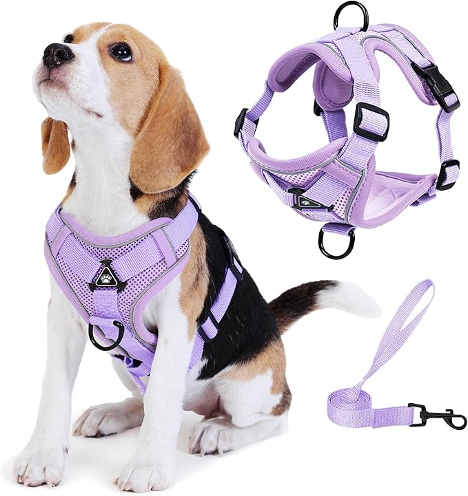 Jolifield No Pull Dog Harness with Leash Set for Small Sized Dog, Reflective Adjustable No Choke Front Clip Cat Vest Harne...