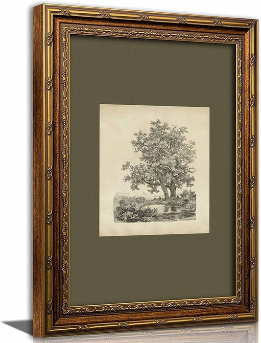 Kabcod Vintage Gold Framed Tree Wall Art Prints, Farmhouse Tree Forest Painting,Natural Sketch Landscape Pictures,Vintage ...