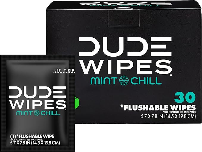 DUDE Wipes On-The-Go Mint Chill Travel Wipes - 30 Count (Individually Wrapped) - Extra-Large Adult Flushable Wipes - Infus...