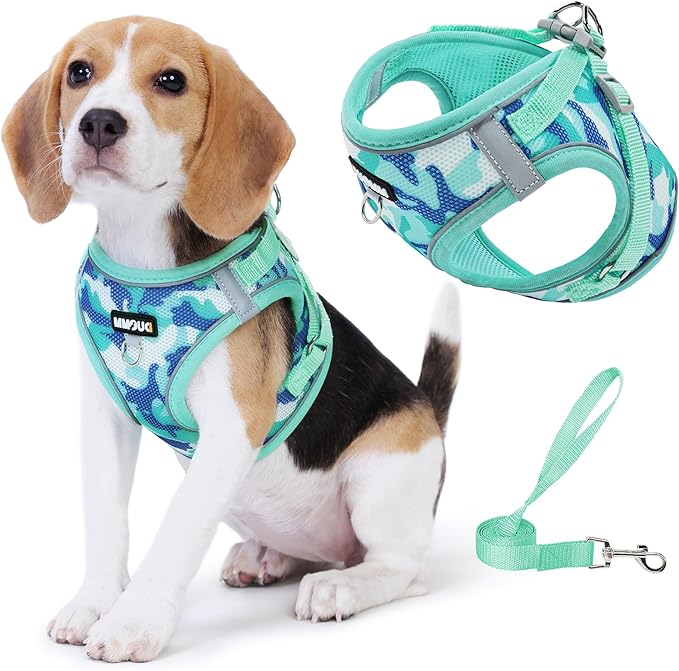 Jolifield Step in Dog Harness with Leash Set, Adjustable Soft Padded and Breathable Mesh for Small Sized Dog, Reflective N...