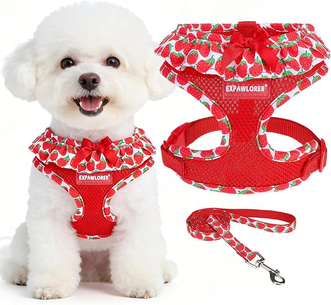 EXPAWLORER Cute Dog Harness Collar Leash Set - Red Girl Dog Harness Checkered Step-in Design, Adjustable No-Choke Lightwei...