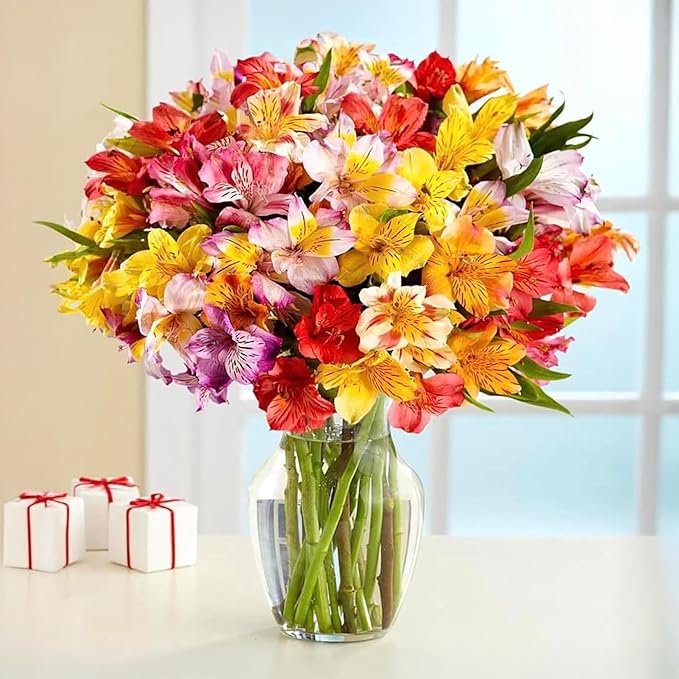 24 Multicolored Alstroemeria Bouquet Flowers, Long Lasting & Hand-Tied, Farm Fresh Cut Flowers Bouquet - Gift for Birthda...