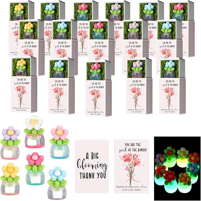 Wonderjune 36 Sets Employee Appreciation Gift Luminous Flowerpot Bulk Emotional Support Gift Box with Inspirational Card M...