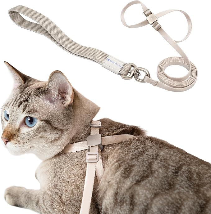 BuddyArmor Cat Harness and Leash 2-in-1, Escape Proof Anti-Chocking Harness Adjustable Lighweight Leash for Walking Outoor...