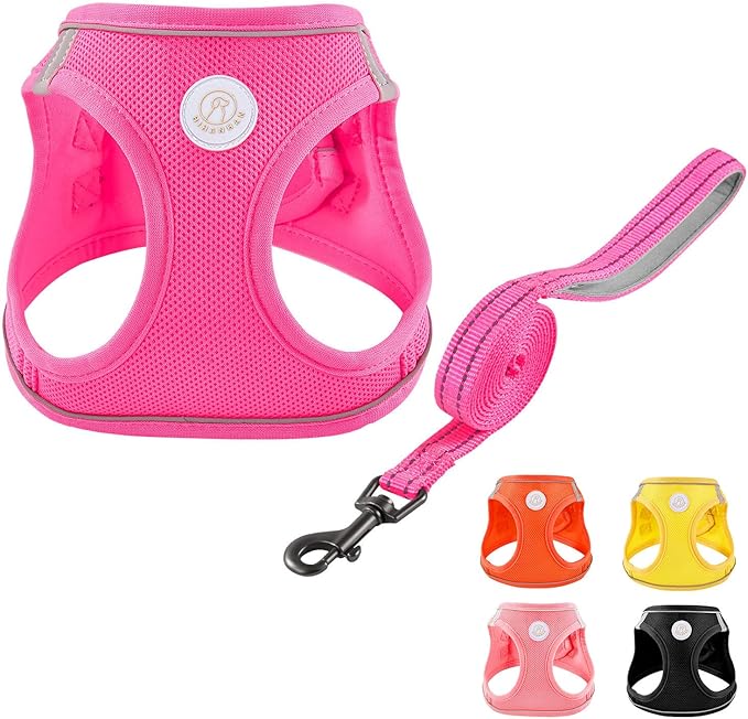 HIHANHAN Soft Mesh Dog Harness and Leash Set, No Pull Puppy Harness and Leash Set, Reflective Step in Harness for Small Me...