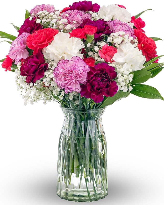 Benchmark Bouquets - Carnation Mix - Fresh Flowers for Delivery - Mothers Day Flowers - Get Well Gifts for Women - White, ...