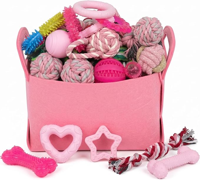 PawsAion Puppy Toys Set - 20 Pack Pink Dog Chew Toys for Teething Small Breeds - Tough Rope Toys for Puppies, Cute Soft Ru...