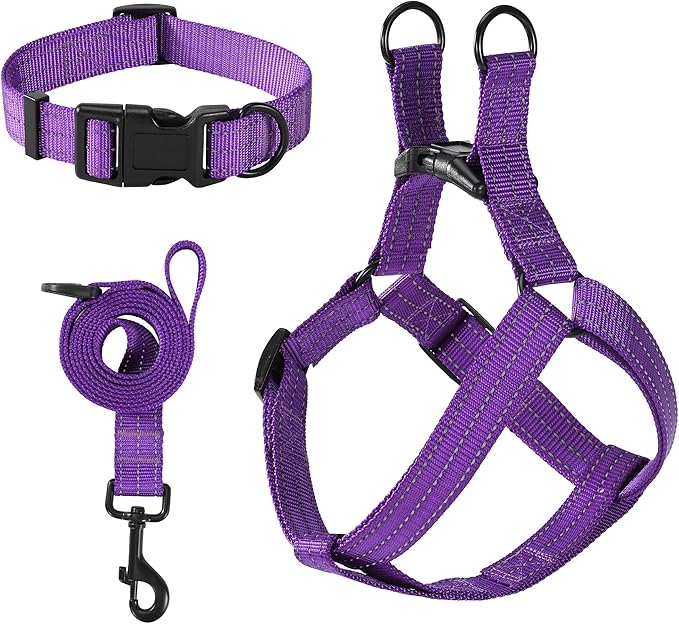 Mile High Life Night Reflective Double Adjustable Band Nylon Small Puppy Pet Dog Combo Collar Leash and Harness Set (Refle...
