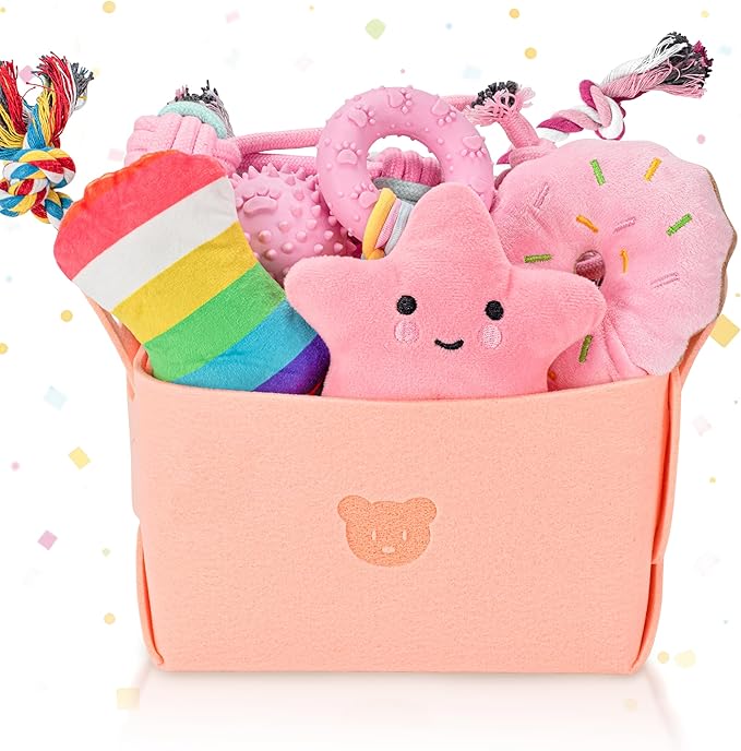 Ousiya 12 Pack Puppy Toys for Teething, Small & Medium Dogs – Chew Toys, Rope Toys & Interactive Dog Toys Set with Storage...