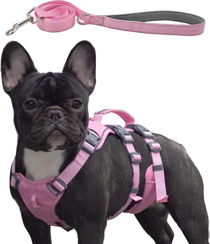 Wuffley Escape Proof Dog Harness and Leash Set, Lightweight Dog Harness with Lift and Assist Handle, No Pull Reflective Pe...