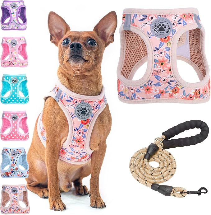BEAUTYZOO Step in Dog Harness and Leash Set, Floral Pattern Reflective Dog Harness No Pull No Choke Puppy Harness for XXS ...