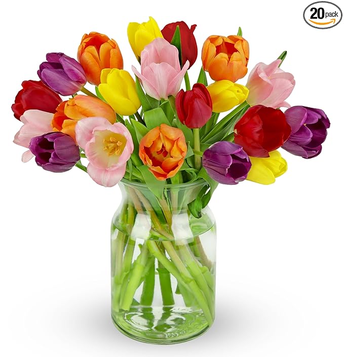 Benchmark Bouquets - Rainbow Tulips - Fresh Flowers for Delivery - Mothers Day Flowers for Mom - Mothers Day Gifts - Birth...
