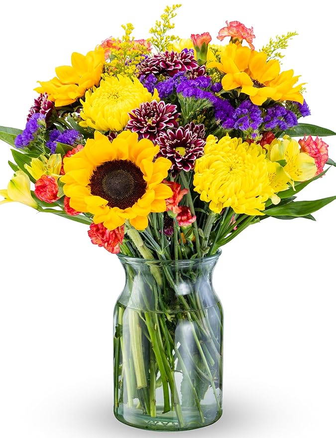 Benchmark Bouquets - Flowering Fields Sunflower Bouquet - Fresh Flowers for Delivery - Mothers Day Flowers - Get Well Gift...