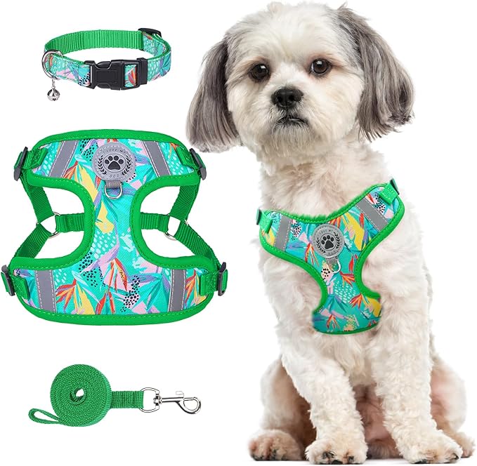 BEAUTYZOO Step in Dog Harness Collar and Leash Set for Small Medium Large Dogs, No Pull No Choke Puppy Harness, Soft Mesh ...