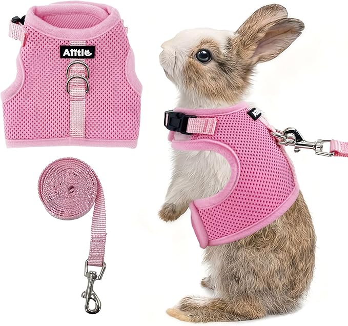 AIITLE Adjustable Rabbit and Leash Set - Lightweight & Portable, Padded Vest with Magic Tape Design, Indoor/Outdoor Use (T...