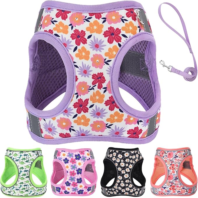 Small Dog Harness and Leash Set, Step in Dog Harness No Pull for Walking Running Training, Puppy Essentials for Dogs Cat B...