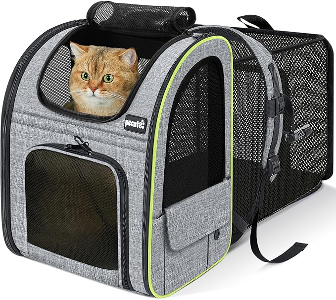 Pecute Cat Backpack Carrier Expandable , Foldable Pet Backpack for Cats & Small Dogs Up to 11lbs, with 4-Side Breathable M...