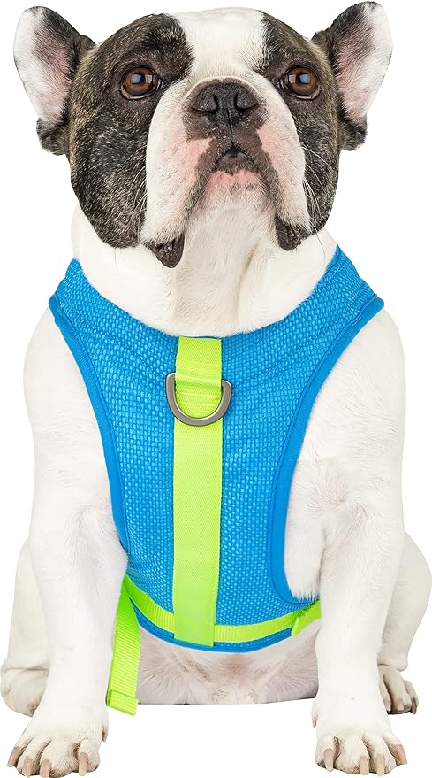 Canada Pooch Dog Cooling Harness - Evaporative Cooling Harness Vest for Dogs with Breathable Mesh Material & Reflective Li...