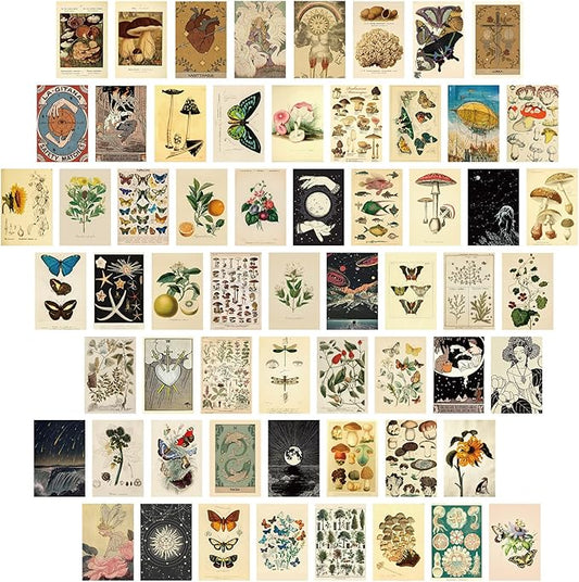 Containlol 60 Pcs Vintage Wall Collage Kit Maximalist Paintings Art Prints Botanical Illustration Tarot Aesthetic Vintage ...