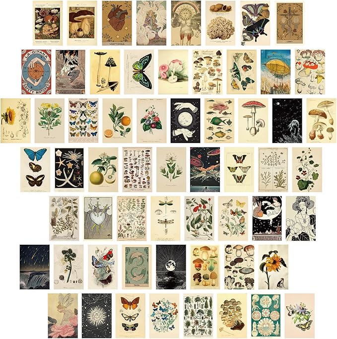 Containlol 60 Pcs Vintage Wall Collage Kit Maximalist Paintings Art Prints Botanical Illustration Tarot Aesthetic Vintage ...