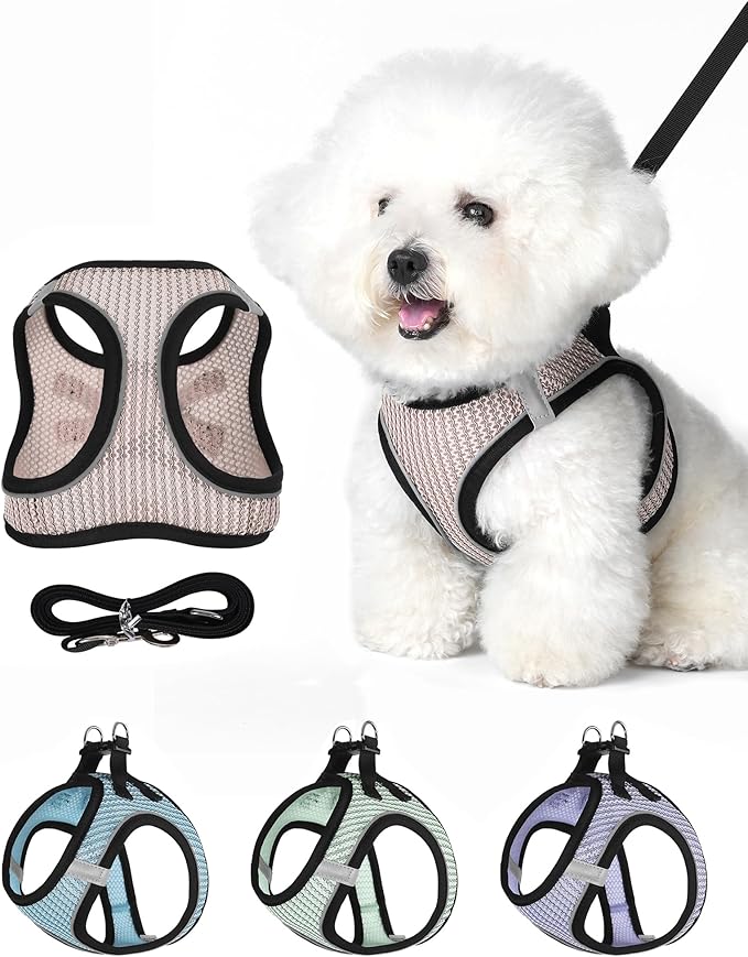 VernAlly Dog Harness Small Sized and Leash Set, Step in Soft Light Puppy Vest, Breathable Mesh Pet Harness Suitable for Pu...