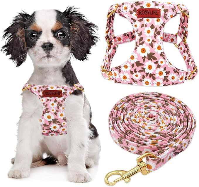 RosyLife No Pull Dog Harness & Leash Set, Adjustable XX-Small, Pink Daisy, Fashionable, Cute, Stylish, Escape Proof, Inclu...