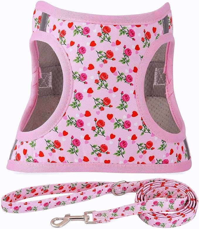 Moonpet Step in Valentine's Day Dog Harness Leash Set- All Weather Reflective No-Pull Floral Pattern Padded Mesh Vest Harn...