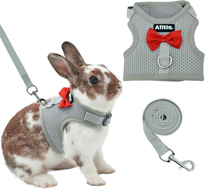 AIITLE Rabbit Harness and Leash Set with Cute Bow, Soft Breathable Mesh Vest Harness for Rabbits Kitten Ferret Puppy Small...