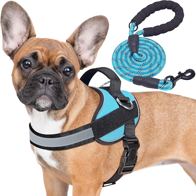 Haapaw Essential Dog Harness, No Pull Pet Vest with 3 Leash Clips, No Choke, Reflective, Adjustable and Padded, for Easy W...