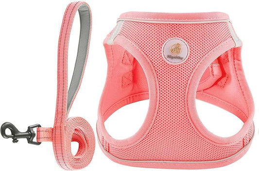 Hipubby Dog Harness and Leash Set, No Pull Soft Mesh Puppy Harness for Small Medium Dogs, Cats - Step in Reflective Breath...