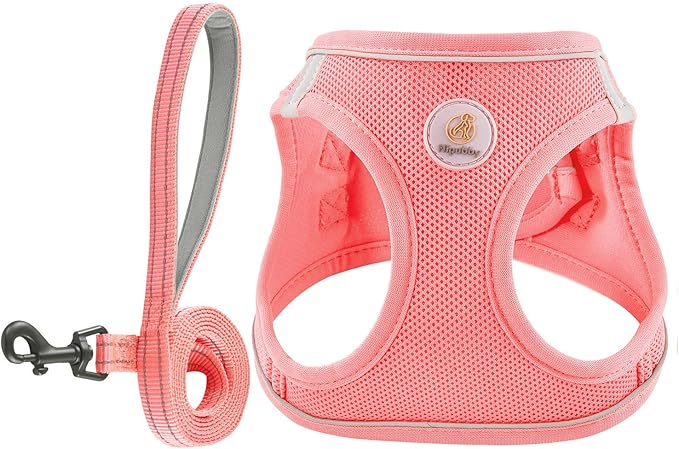 Hipubby Dog Harness and Leash Set, No Pull Soft Mesh Puppy Harness for Small Medium Dogs, Cats - Step in Reflective Breath...