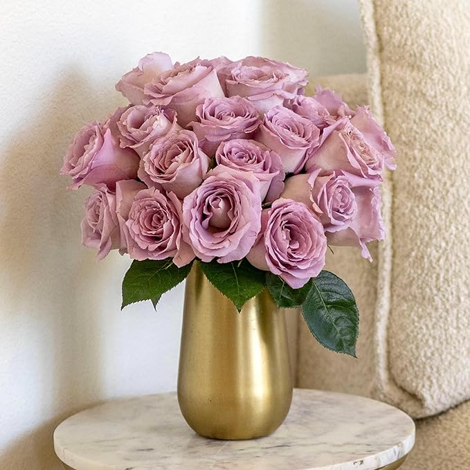 BloomsyBox - Lavender Roses - 24 Long Stems,Long Lasting, Hand-Tied in Eco-friendly, Vase Not Included, Fresh Flowers for ...