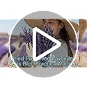 Dried Purple Lavender Flowers Bundle-Dried Preserved Lavender Bouquet 15-17" for Shower Weeding Home Vase Decor, Crafts, A...