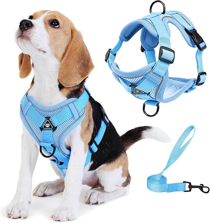 Jolifield No Pull Dog Harness with Leash Set for Small Sized Dog, Reflective Adjustable No Choke Front Clip Cat Vest Harne...