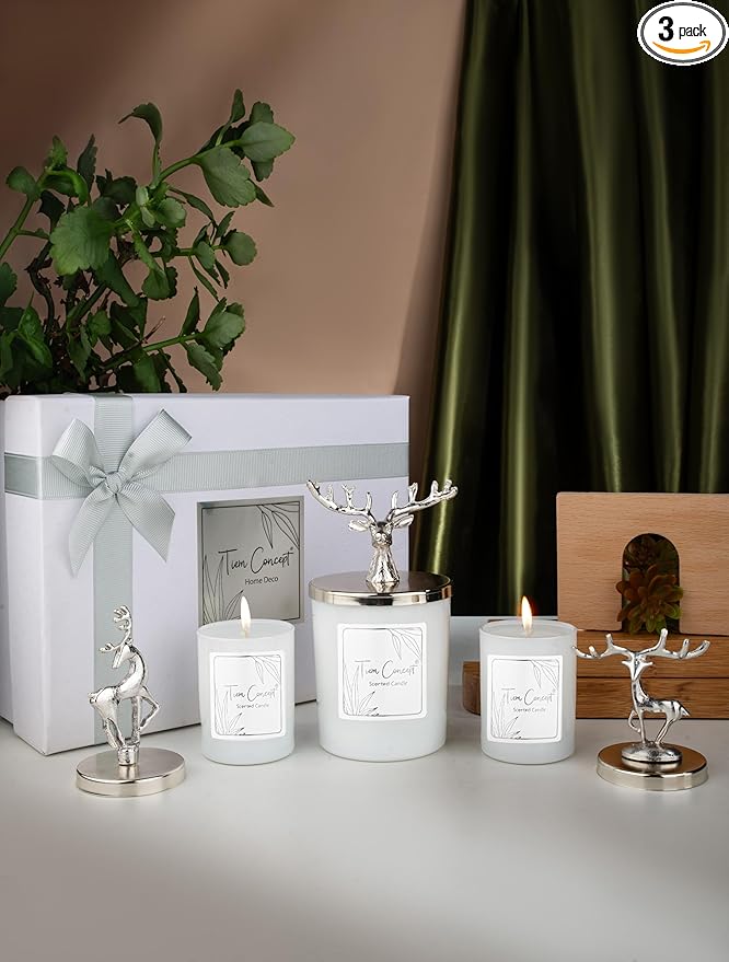 Tiem Concept Scented Candles Gift Set 3-Piece for Women, 3-Piece Vanilla Scented White Wax Candles, Total 9,53 oz, Scented...