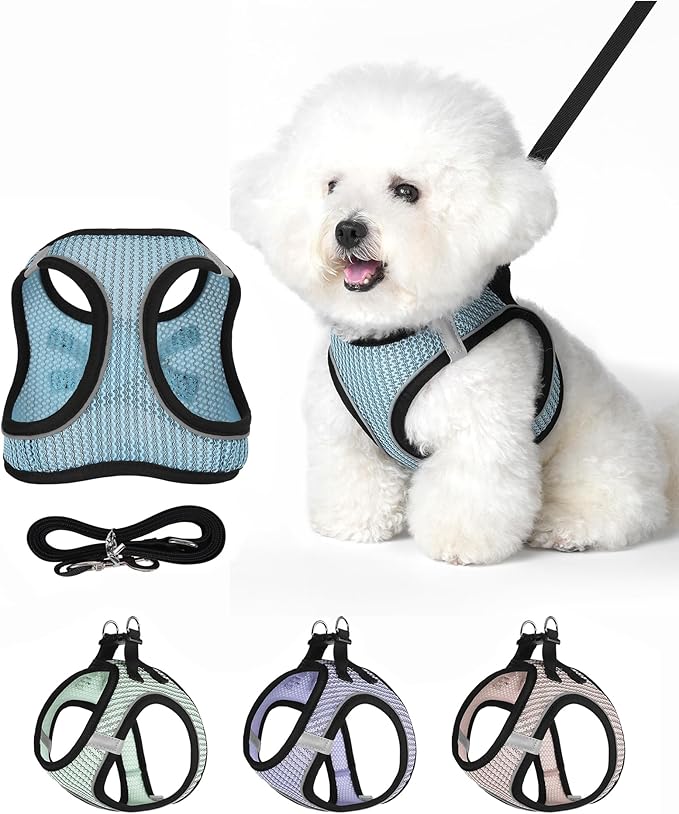 VernAlly Dog Harness Small Sized and Leash Set, Step in Soft Light Puppy Vest, Breathable Mesh Pet Harness Suitable for Pu...