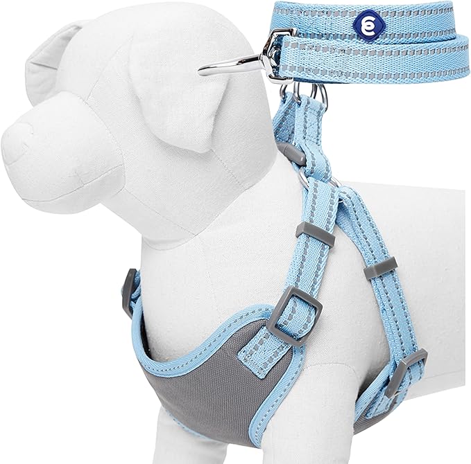 Blueberry Pet Matching Reflective Harness and Leash Set | Adjustable Pastel Vest with Lead for Dogs – Great Value Gift Set...