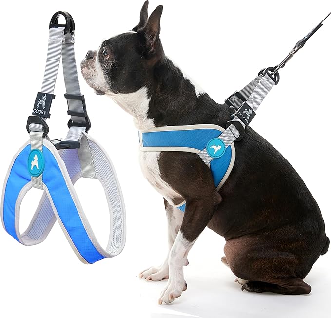 Gooby Simple Step in III Harness - Blue, Small - Small Dog Harness with Scratch Resistant Outer Vest - Soft Inner Mesh Har...