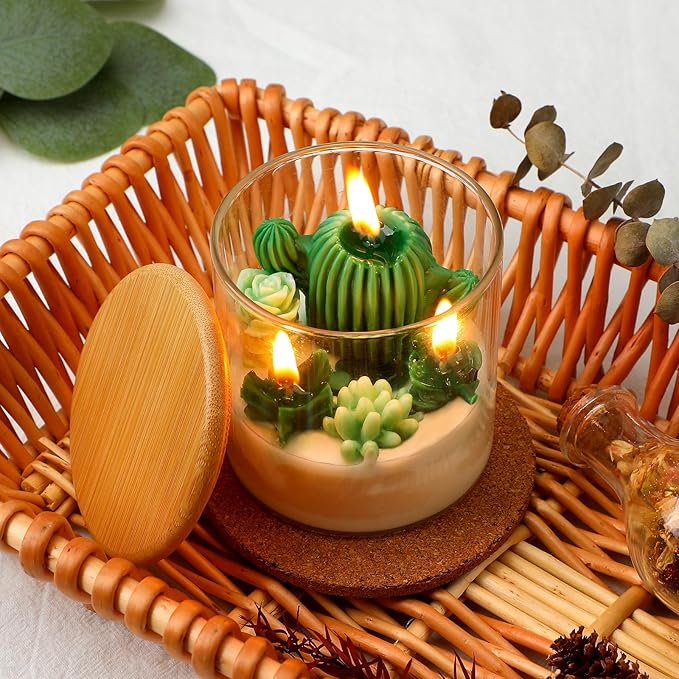 Tondiamo Succulent Cactus Candles Gift,3.15 Inch Scented Decorative Terrarium Plant Candles Votive for House Warming Weddi...
