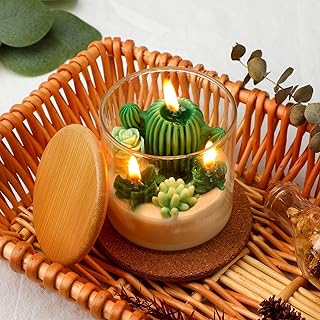 Tondiamo Succulent Cactus Candles Gift,3.15 Inch Scented Decorative Terrarium Plant Candles Votive for House Warming Weddi...