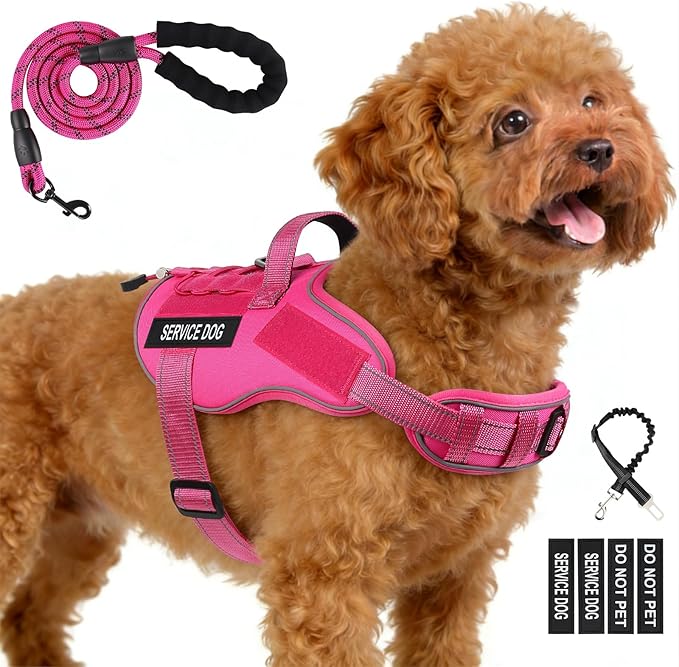 Service Dog Vest, No Pull Dog Harness Small Medium Sized Dog, Service Dog Harnesses and Leash Set, Reflective Easy Walk Do...