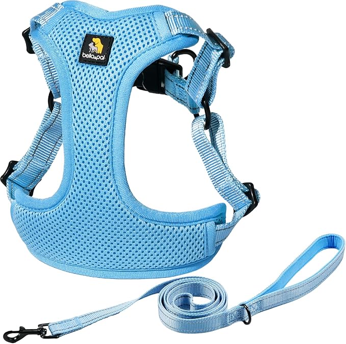 BELLA & PAL Adjustable Step-in Dog Harness, Puppy No-Pull Vest with Leash Set for XS/Small & Medium Dog, Breathable All-We...