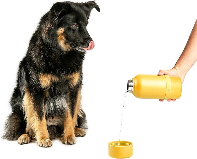 Ubbi Pup & Me Insulated Stainless Steel Dog Water Bottle with Attached Bowl, 32 oz Portable Leakproof Travel Bottle for Do...