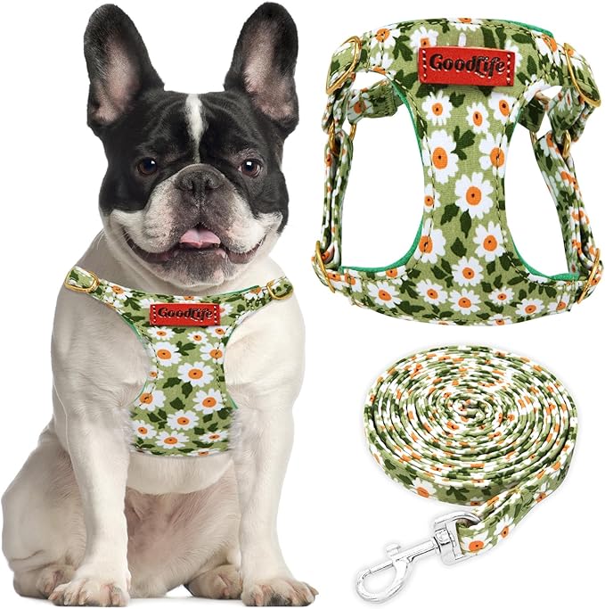 OaaXbbECco No Pull Floral Pattern Puppy Harness,Soft Adjustable Dog Harness Vest and Dog Leash Set No Choke Escape Proof (...