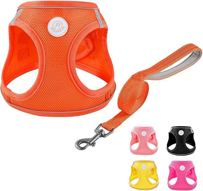 HIHANHAN Soft Mesh Dog Harness and Leash Set, No Pull Puppy Harness and Leash Set, Reflective Step in Harness for Small Me...